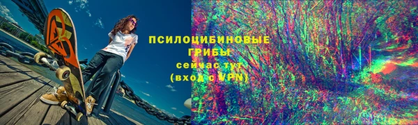 твердый Алексин