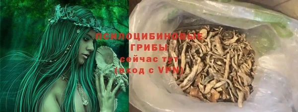 твердый Алексин