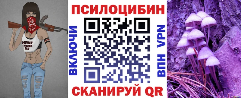 где продают наркотики это официальный сайт Галлюциногенные грибы прущие грибы Опочка