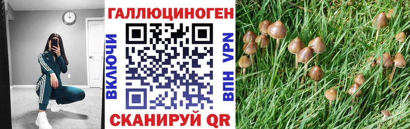 Галлюциногенные грибы мухоморы Опочка